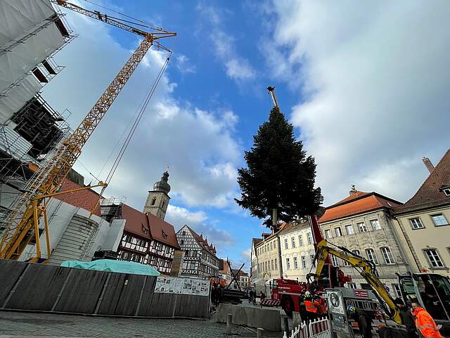 Eine große Tanne wird von einem Kran an ihren Standort auf einem städtischen Platz gehoben.