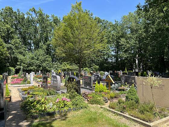 Sommerlich bepflanzte Erdgräber am Friedhof umrahmt von Bäumen.