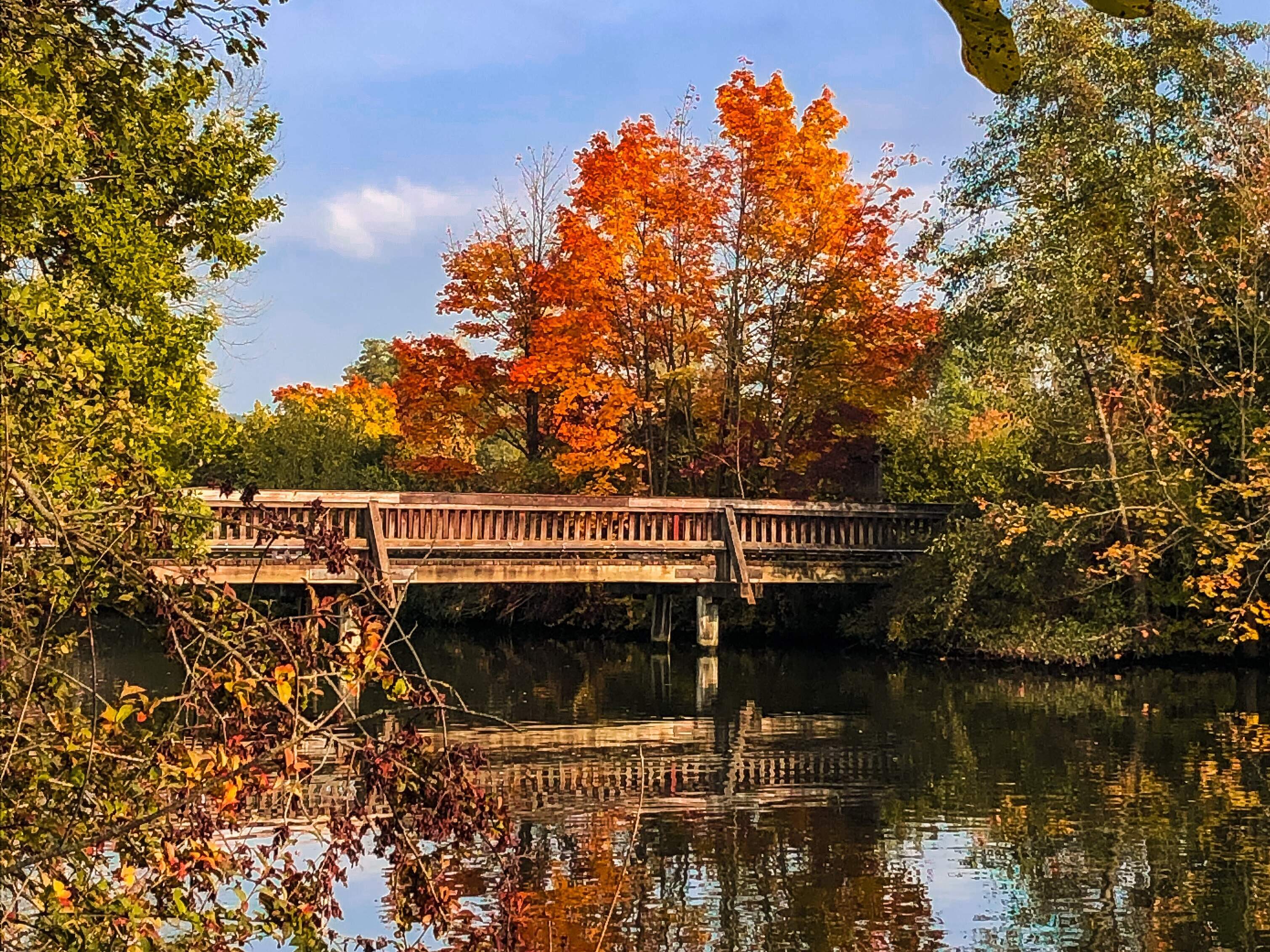 Eine Holzbrücke über einem Fluss im Herbst.