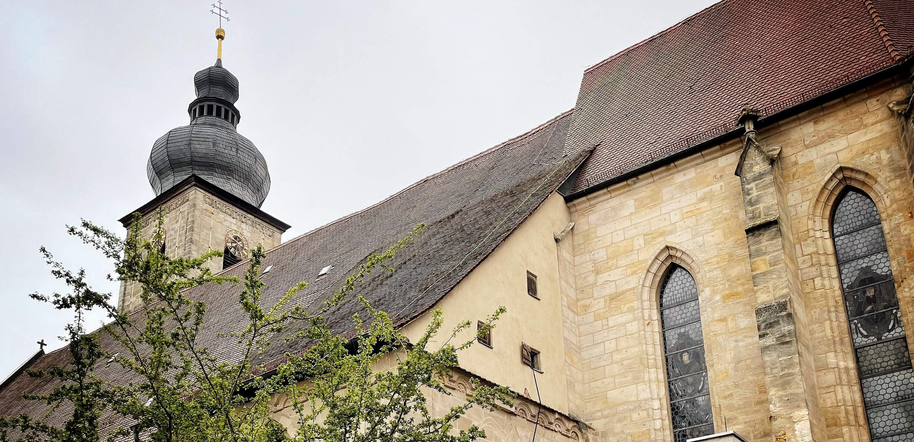 Kirche St. Martin in Forchheim Seitenansicht einer barocken Kirche mit Sansteinfassade. Links im Vordergrund befindet sich ein Baum.