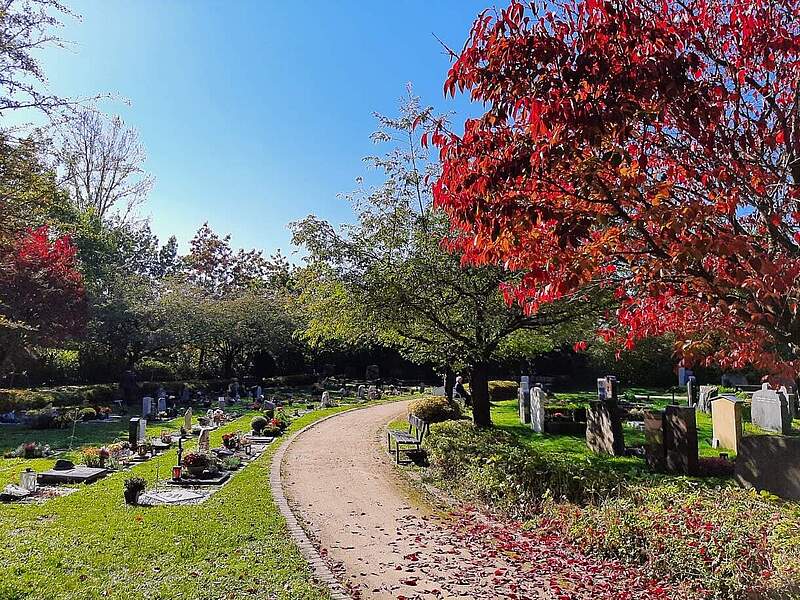 Ein gewundener Weg führt durch den Bereich mit Urnen-Erdgräbern an einem Friedhof im Herbst bei Sonnenschein und teilweiser roter Laubfärbung an Bäumen.