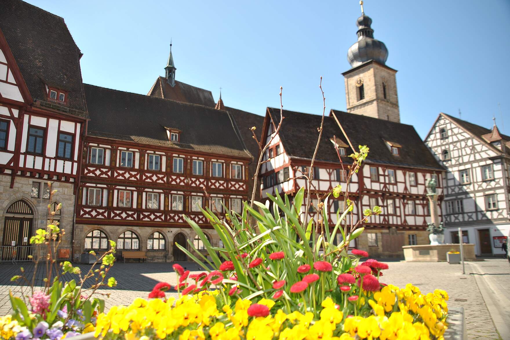 Der Forchheimer Rathausplatz mit Fachwerkensemble und dem Kirchturm der Martinskirche. Im Vordergrund sieht man Frühlingsblumen.