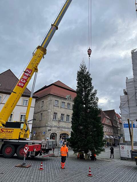 Ein großer Nadelbaum wird als Weihnachtsbaum mit einem Kran an einem großen Stadtplatz aufgestellt.