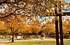 Herbstliche Bäume auf dem neuen Forchheimer Friedhof