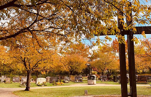 Herbstliche Bäume auf dem Forchheimer Friedhof