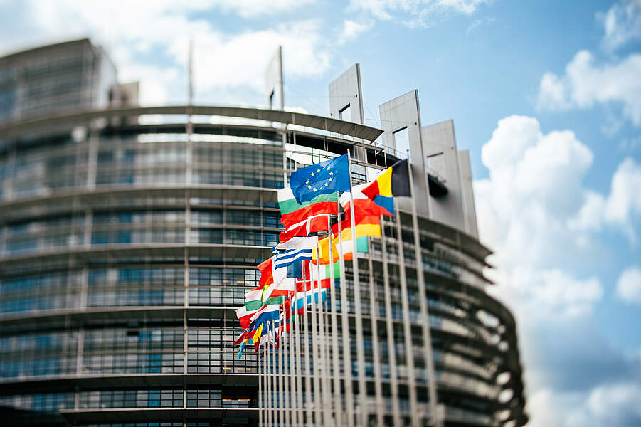 Länderflaggen wehen vor dem Europäischen Parlament