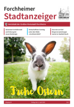 Amtsblatt Forchheimer Stadtanzeiger Ausgabe Nr. 8 2025