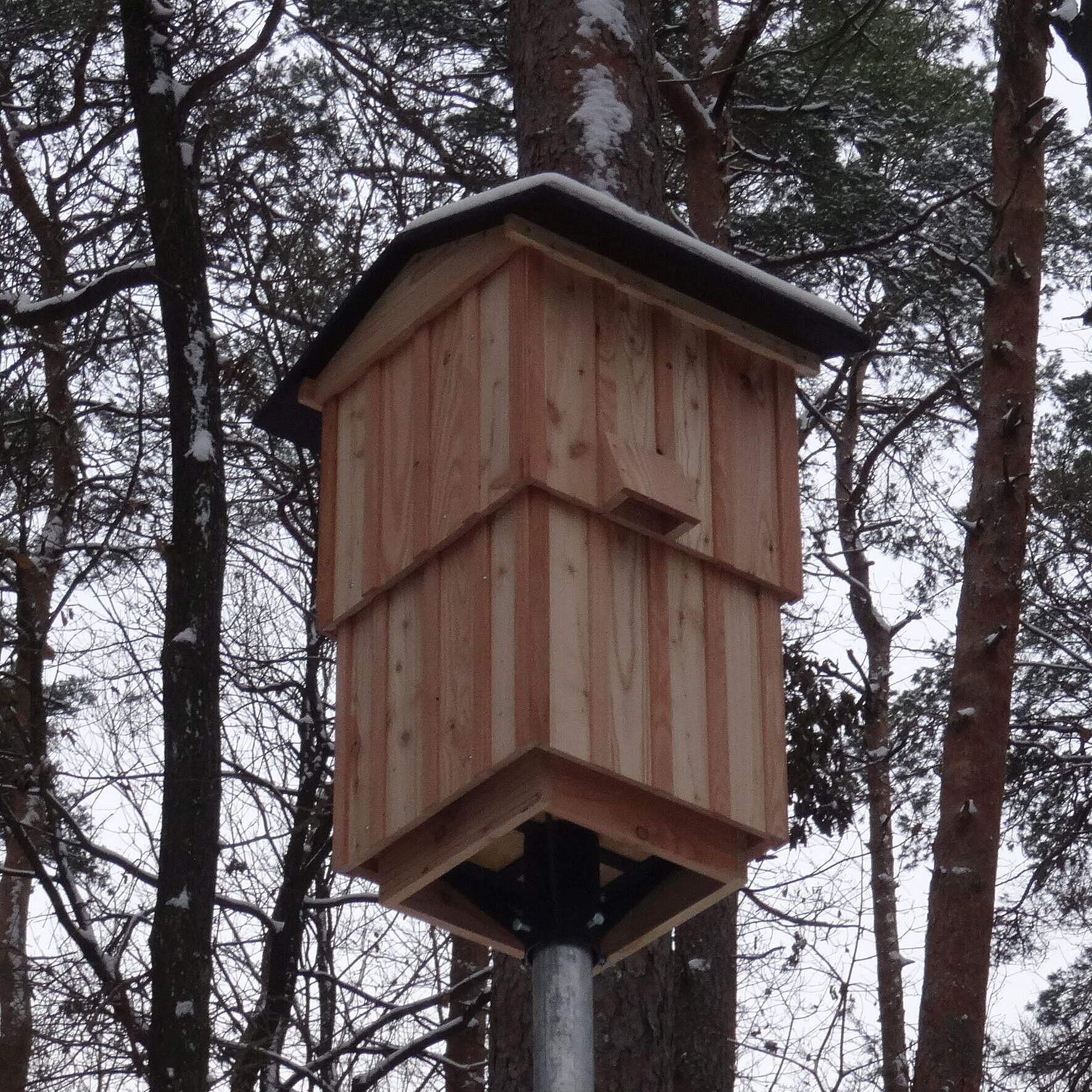 Ein Nistkasten aus Holz an einer Metallstange im Wald für Fledermäuse.