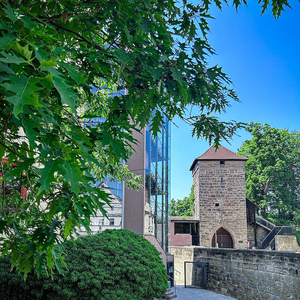 Ein mittelalterlicher Turm an einem Pfalzgraben neben einem modernen verglasten Aufzug. Große Bäume umgeben die Anlage.