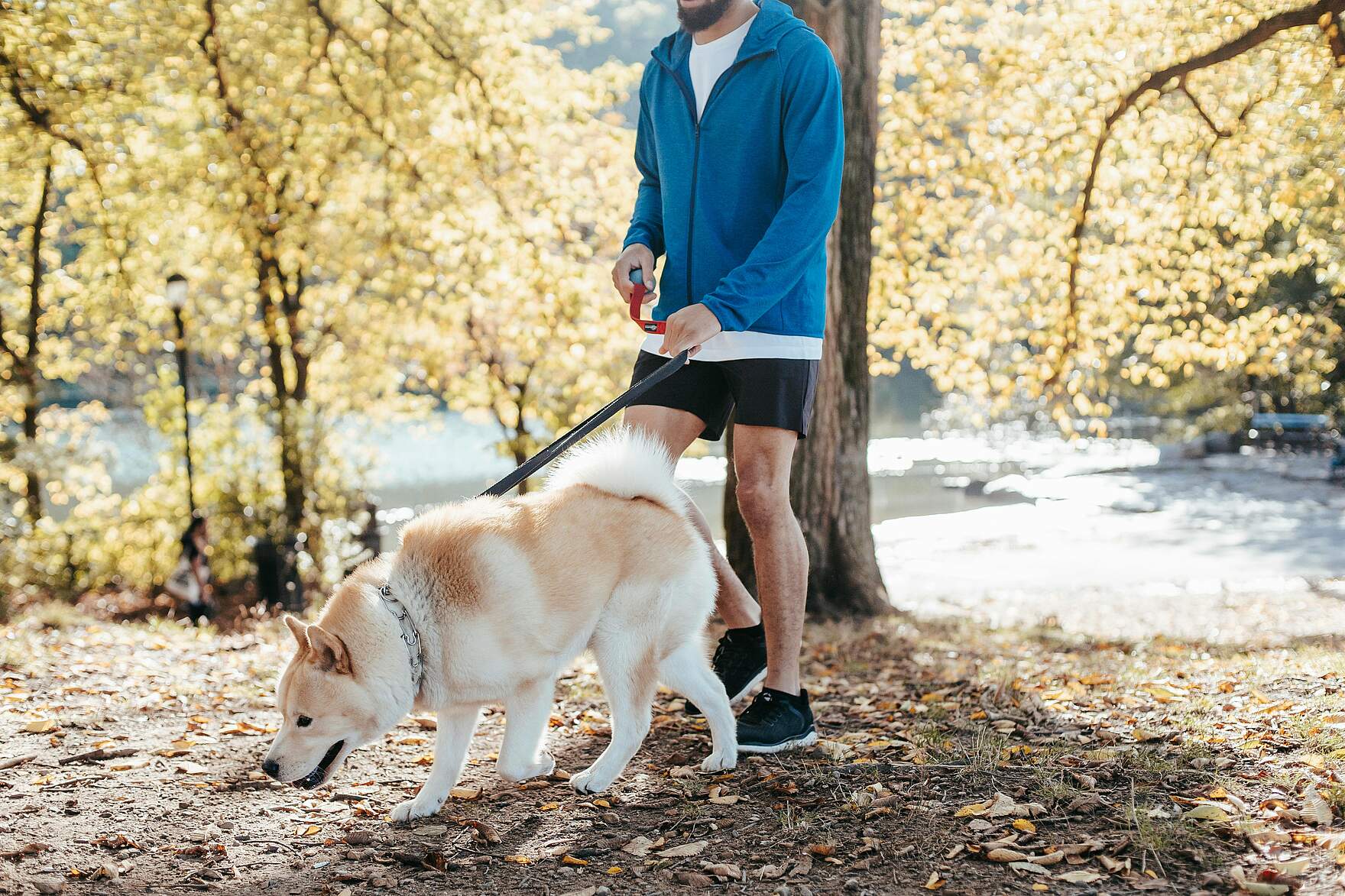 Mann geht mit Hund im Park spazieren.