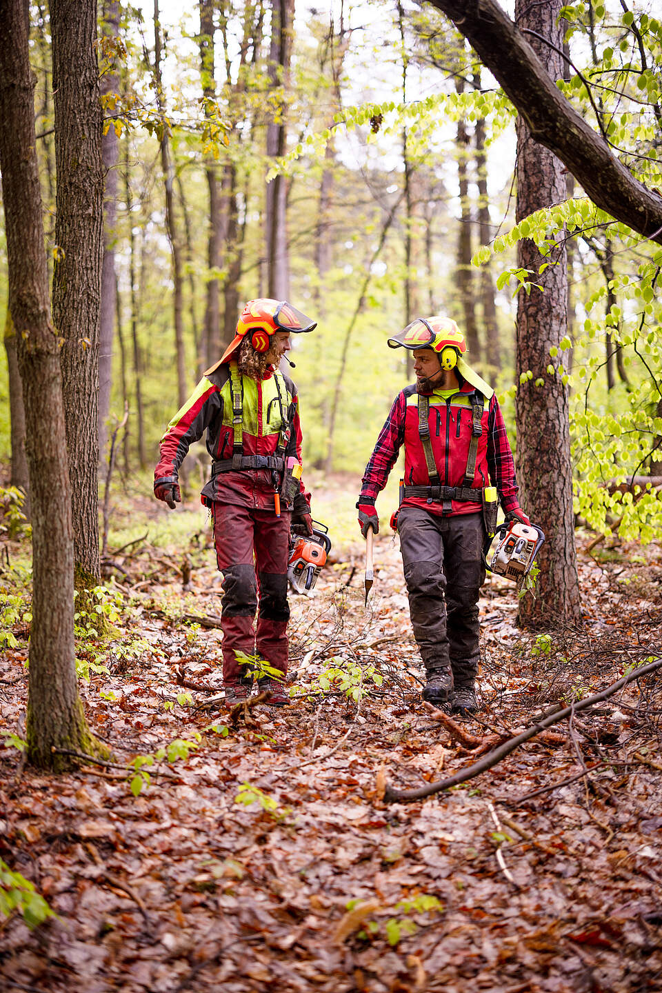 Mitarbeitende aus dem Forstamt im Wald