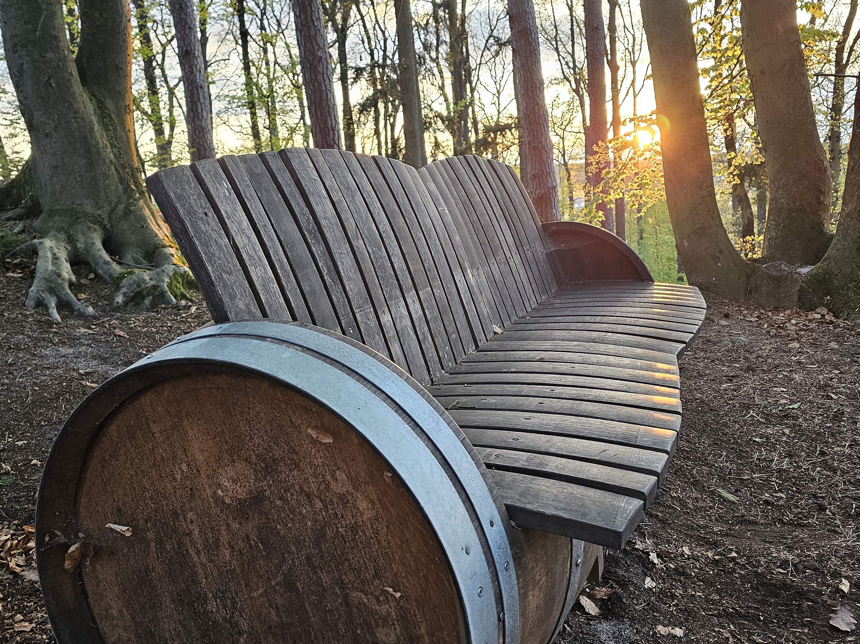 Abendstimmung im Kellerwald Rustikale Ruhebank bei Sonnenuntergang im Forchheimer Kellerwald