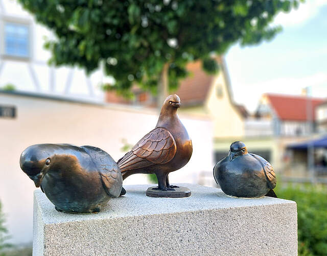 Bronzetauben am Forchheimer Marktplatz Kleindenkmal mit drei Bronzetauben am Marktplatz in Forchheim. Im Hintergrund befinden sich ein Baum sowie umliegende Häuser
