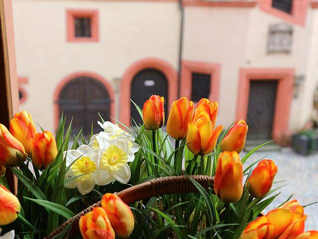 Tulpen im Pfalzinnenhof