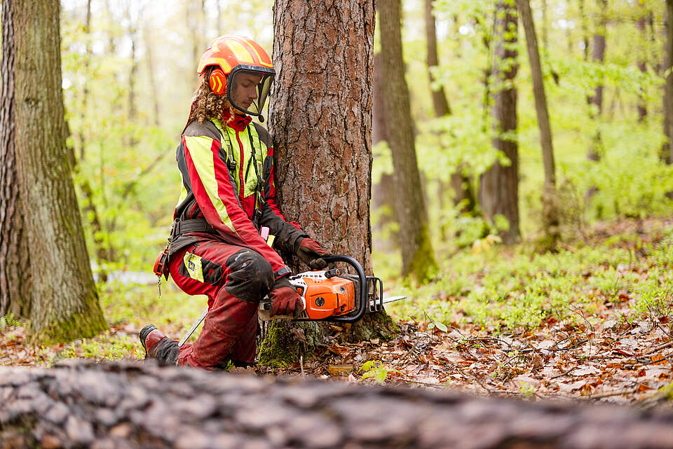 Mitarbeiter aus dem Forstamt im Wald mit Kettensäge