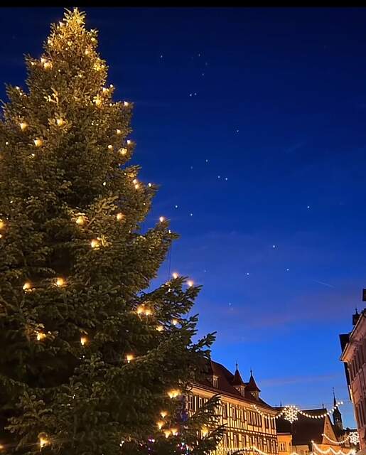 Forchheimer Weihnachtsbaum Ein großer Weihnachtsbaum auf einem Stadtplatz in der Abenddämmerung. Im Hintergrund ein Ausschnitt des stimmungsvoll beleuchteten Forchheimer Weihnachtsmarkts.