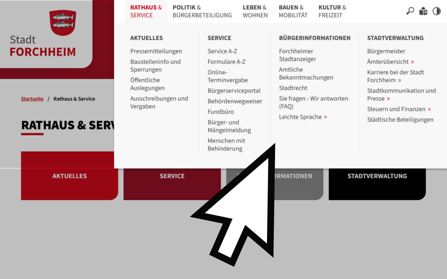 Ein weißer Pfeil zeigt auf eine Themen-Liste in der Menü-Struktur auf der Internet-Seite. 