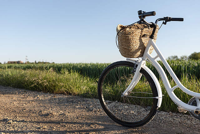 Fahrrad in der Natur