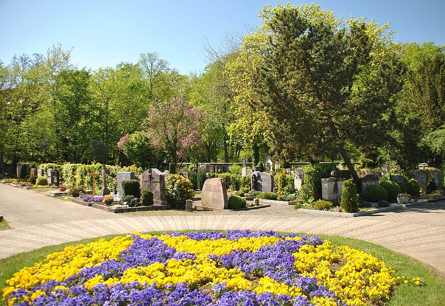 Blumeninsel am Alten Friedhof mit Frühjahrsblühern. Im Hintergrund befinden sich Erdgräber, gesäumt von großen Bäumen.