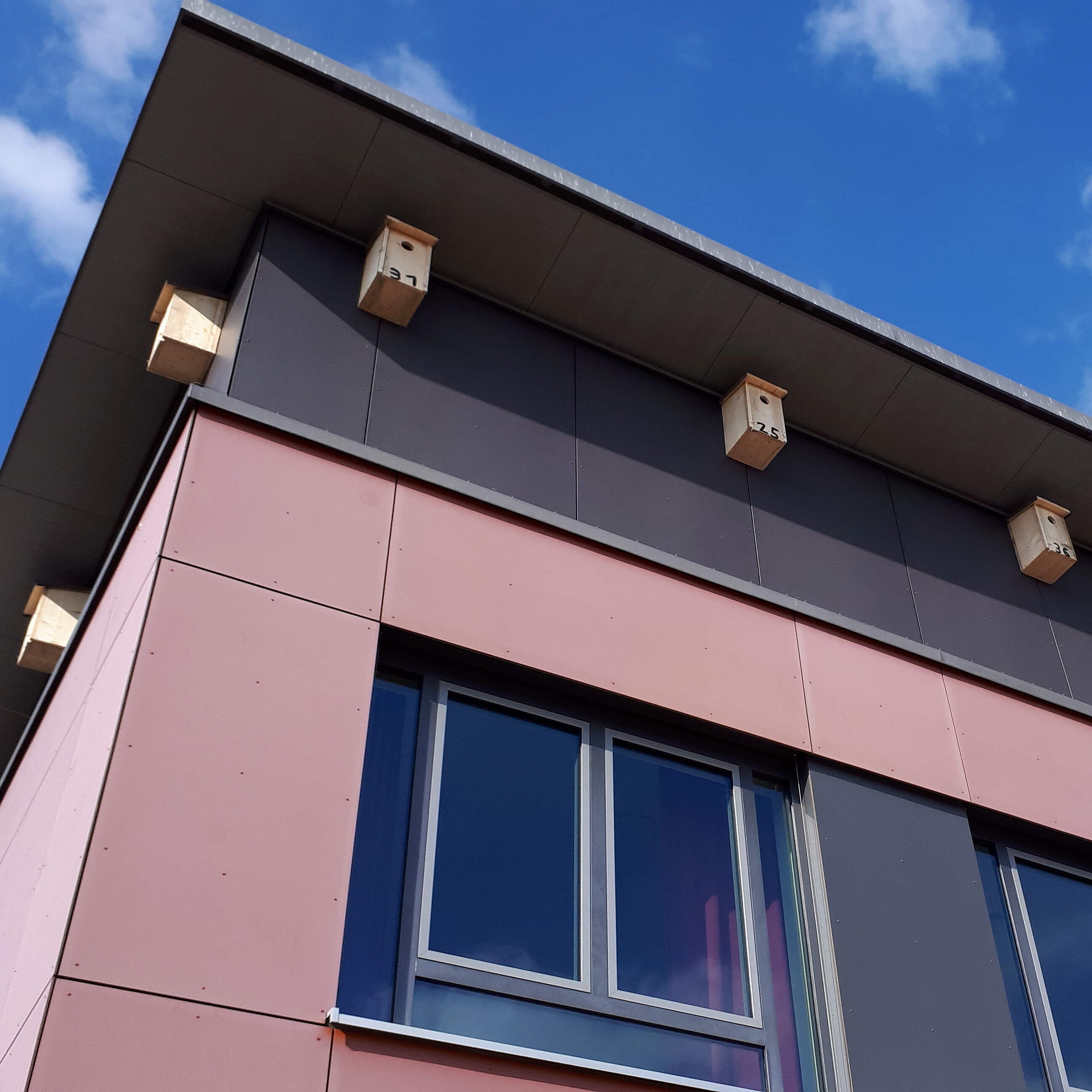 Ersatznistkästen an der Adalbert-Stifter-Schule Mehrere Ersatz-Nistkästen unter einem DAch an einem Gebäude mit rosa Fassade.