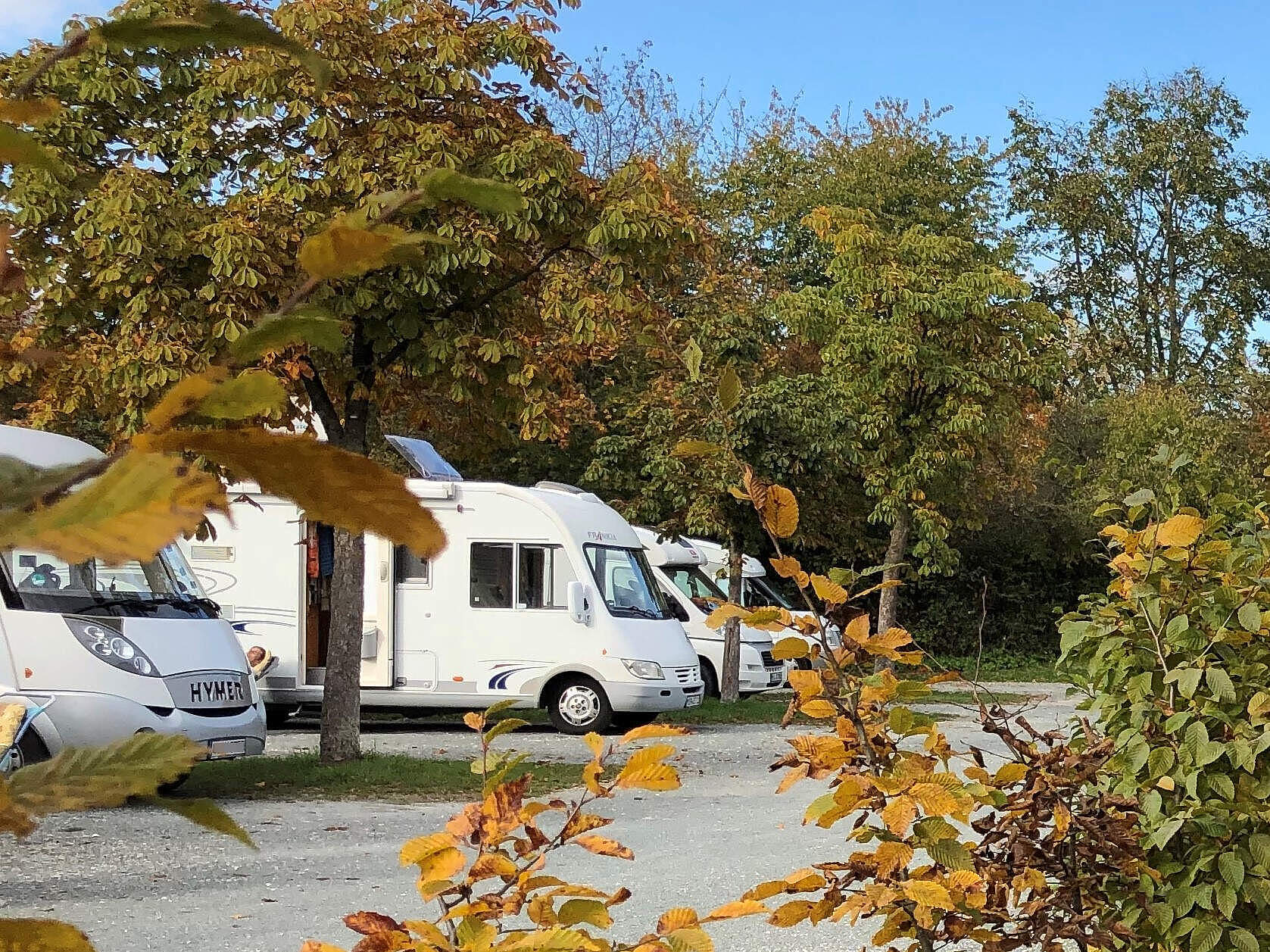 Mehrere Wohnmobile reihen sich auf einem begrünten Wohnmobilstellplatz auf.