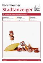 Amtsblatt Forchheimer Stadtanzeiger Ausgabe Nr. 22 2025