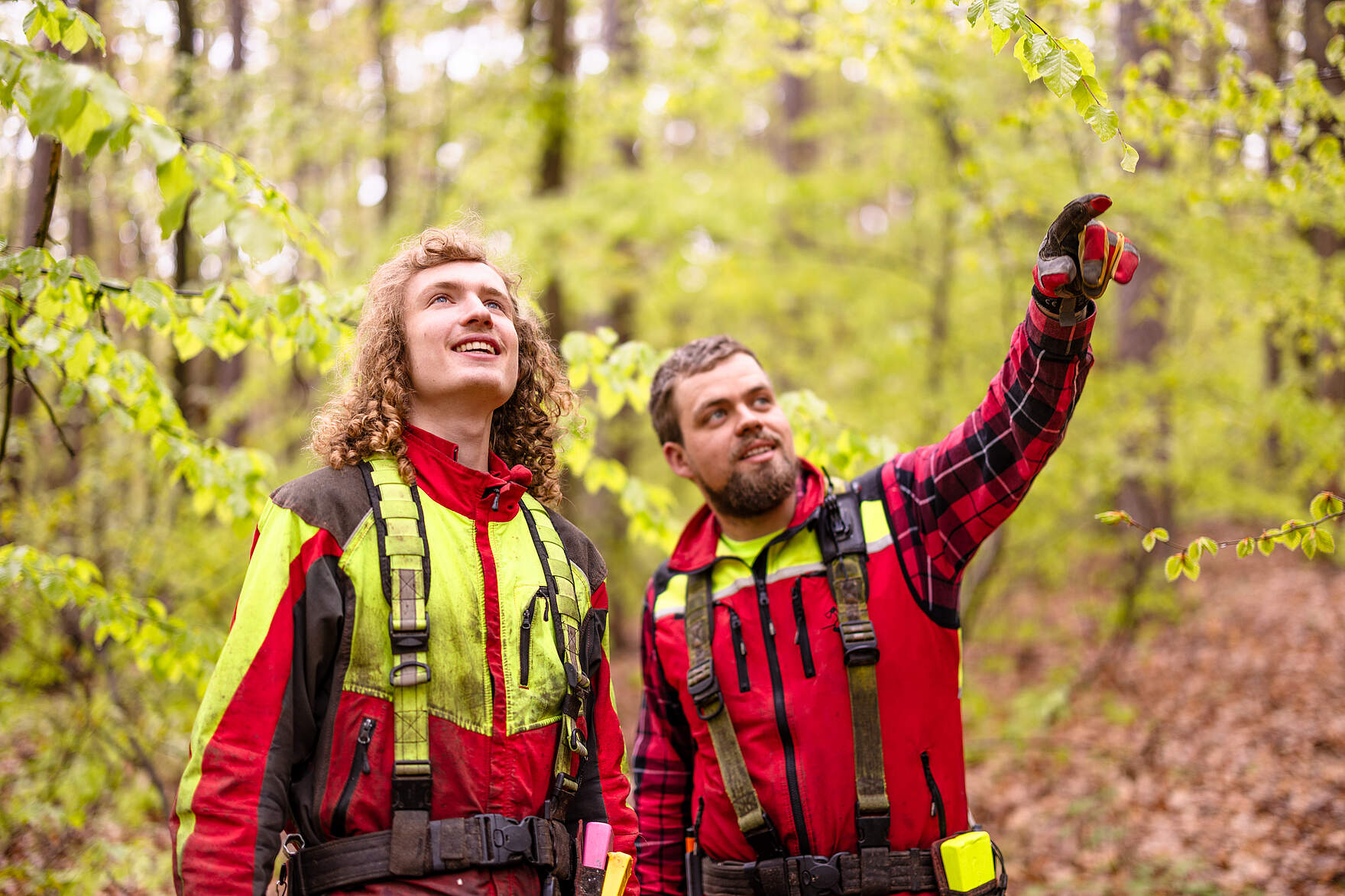 Mitarbeitende aus dem Forstamt im Wald