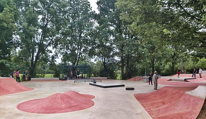 Mehrere Skater auf einer Skateanlage umgeben von großen Bäumen und Büschen