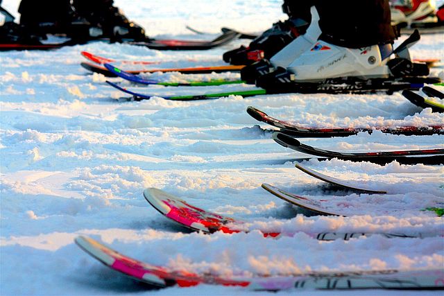 Mehrere Skispitzen einer Gruppe im Schnee.