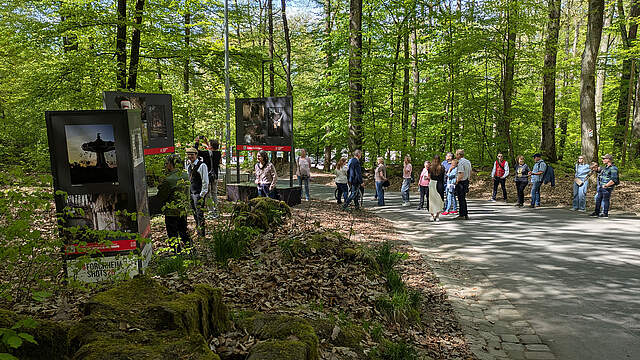 Kellerwald mit Stehlen und ausgestellten Bildern