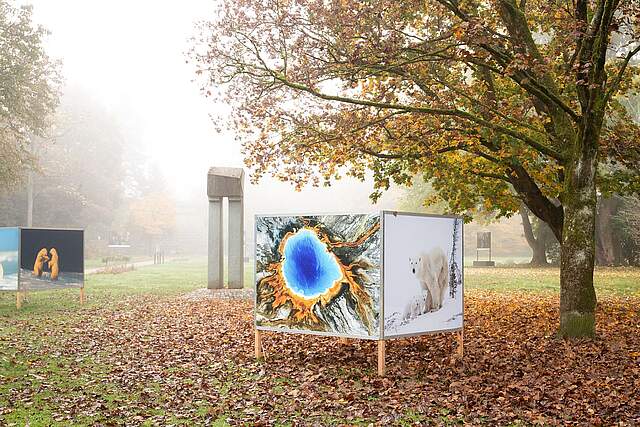 Fotopark Forchheim Der Fotopark im Nebel im herbstlichen Stadtpark mit großformatigen Ausstellungswänden.