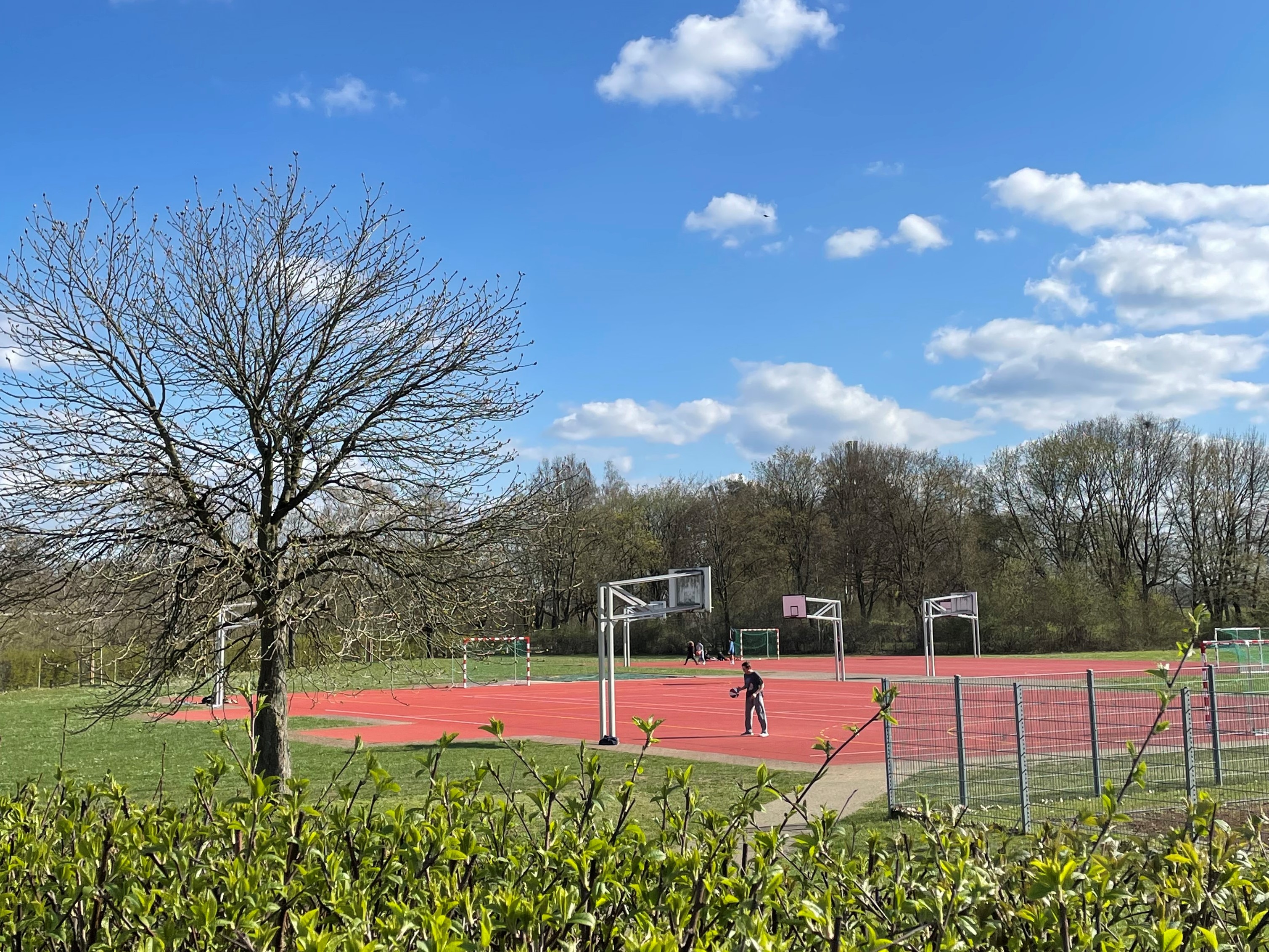 Mehrere Basketballfelder auf der Sportanlage der Sportinsel in Forchheim umgeben von Wiesen und Bäumen.